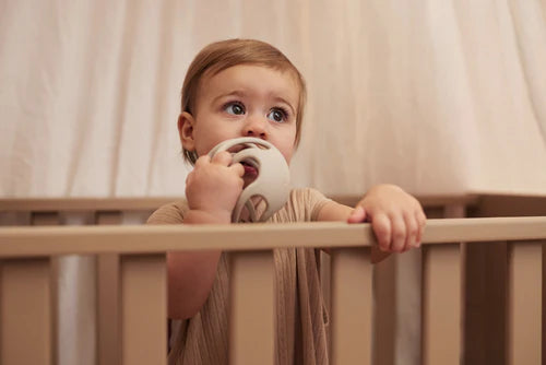 Jollein Bijtbal Silicone - Nougat